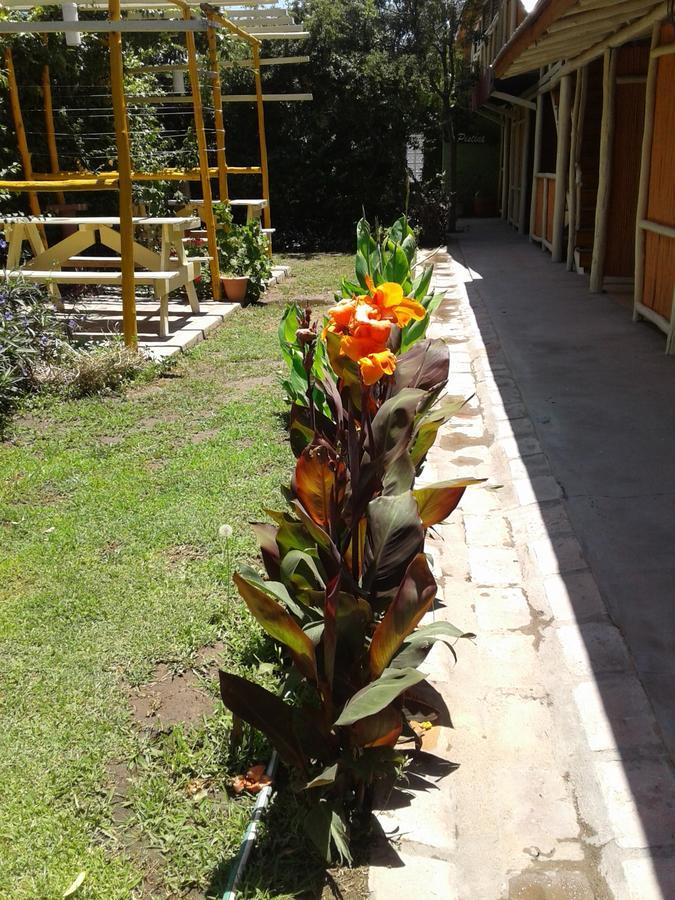 Altos Del Valle San Agustin de Valle Fertil Exterior photo